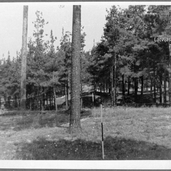 Viestura prospekts - 1937. gads