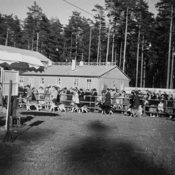 Suņu izstāde Mežaparka slidotavas teritorijā | 1960to beigas