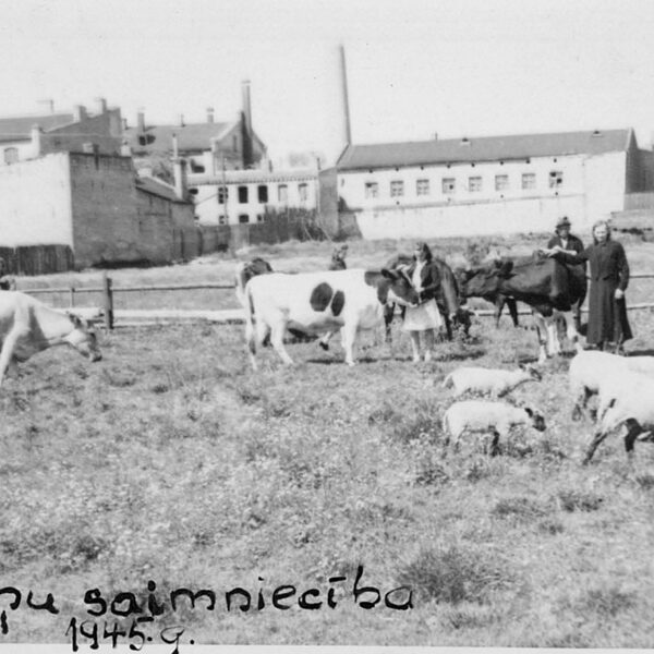Kalniņu saimniecība Ozolainē | 1945.