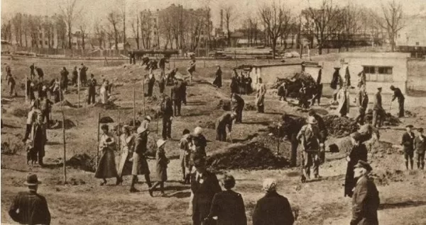 Bērzu stādīšana iepretim Sarkandaugavas dzelzceļa stacijai - 1937. gads