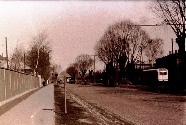 Ganību dambis (pie 56./Kultūru vidusskolas) - 1960. gadi