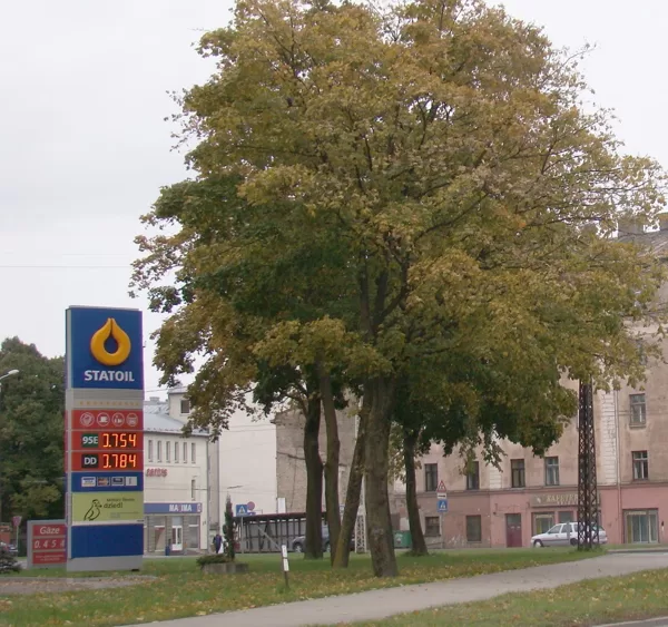 Tilta iela (skats no Tvaika ielas) - 2008. gads