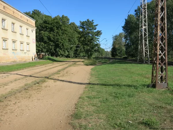 Nejēdzības 2014