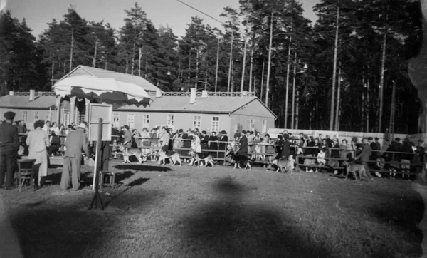 Suņu izstāde Mežaparka slidotavas teritorijā | 1960to beigas