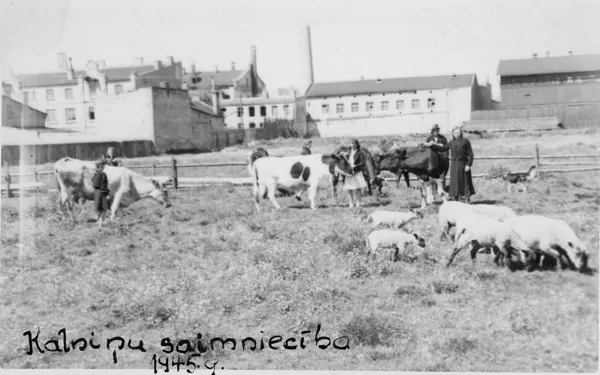 Kalniņu saimniecība Ozolainē | 1945.